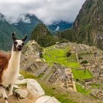 Guía de Machu Picchu
