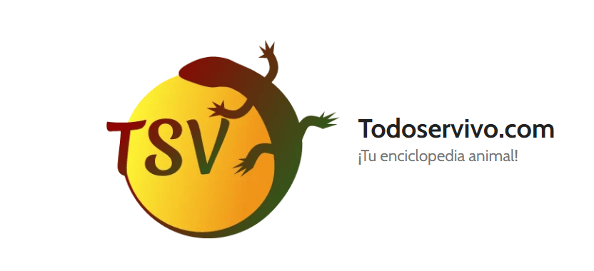 Proyecto Todoservivo