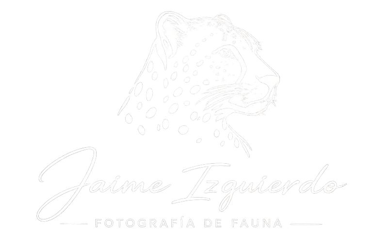 logo Jaime izquierdo fotógrafo