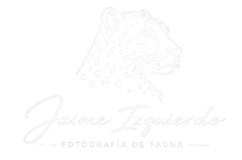 logo Jaime izquierdo fotógrafo
